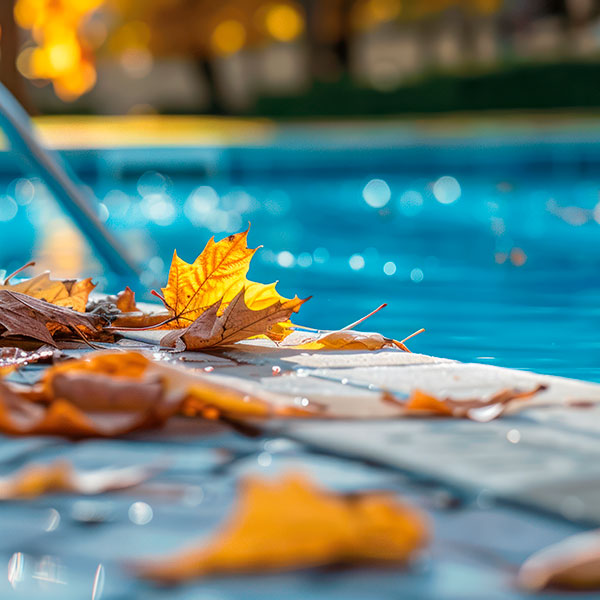 Conseils personnalisés en magasin pour l’entretien hivernal et les produits de piscine